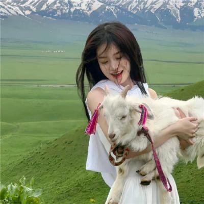 鹡鸰女神第一季